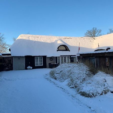 Farm61 Badehotellet I Det Midtjydske - Alder +18 Ar Tjele Bagian luar foto